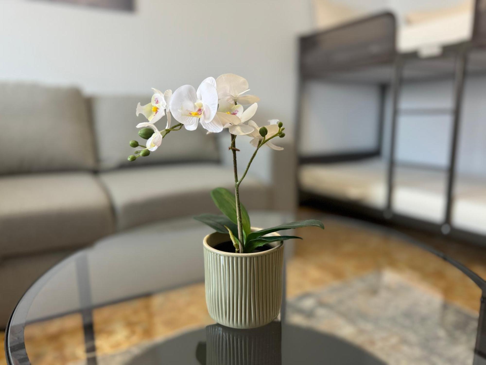 Casa Apartment *